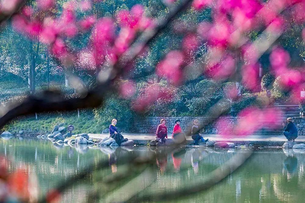 一站式问答平台—网传2岁女童疑患病,官方发布情况通报!她究竟是怎么患上这种病的?,专业解答您的疑问